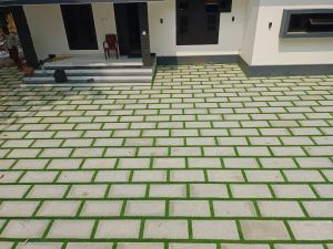 Bangalore Stone With Grass