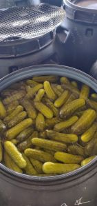 Pickled Gherkins