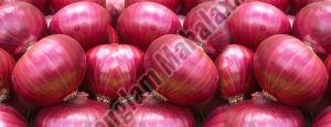 Big Size Red Onion