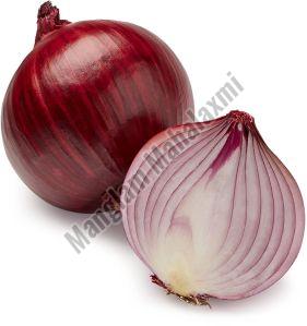 Organic Red Onion