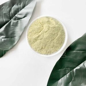 Cellulose Extract Powder