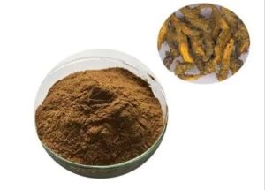 Golden Seal Root Extract Powder