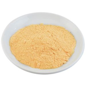 Papain Digestive Enzymes Extract Powder