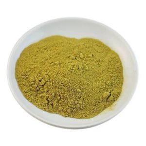 Rosemary Extract Powder