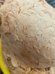 Bamboo shoot fermented