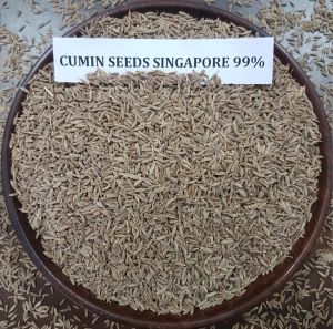 Natural Cumin Seed Singapore 99%