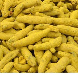 Turmeric Finger