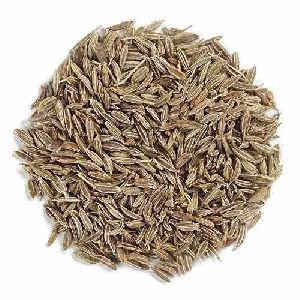Brown Grinding Cumin Seeds