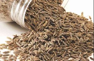 Brown Grinding Cumin Seeds