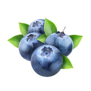 Fresh Blueberry