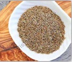 Cumin Seeds