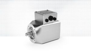 Asynchronous Electric Motor