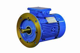 Crane Duty Motor