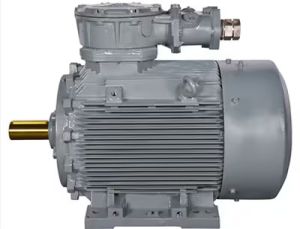 Hazardous Area FLP Motor