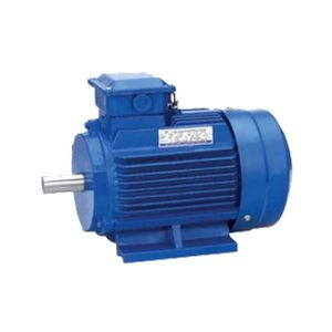 Three Phase Induction Motors For Safe Area