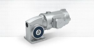 Universal SI Worm Geared Motor
