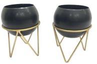 GOLDEN STAND WITH BLACK POT BEAUTIFUL DESIGN
