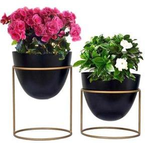 GOLDEN STAND WITH MULTIPLE COLOR POT