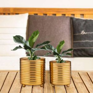 Planter Pots