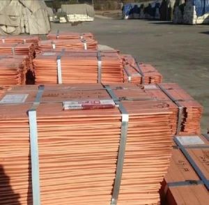 Copper Cathodes