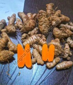 Lakadong Raw Turmeric Finger