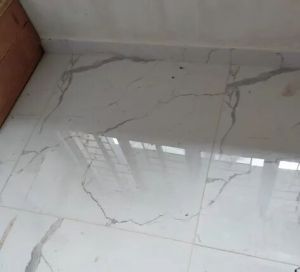 Glossy Marble Floor Tile