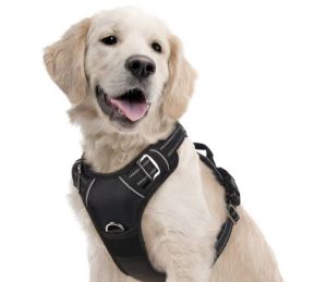 Dog Harness