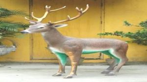 5.6 Feet Fiberglass Deer Statue