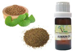 Ajwain Oil