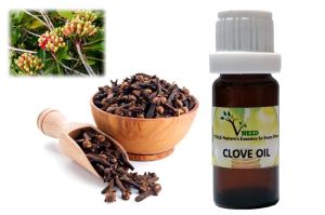 Clove Oil