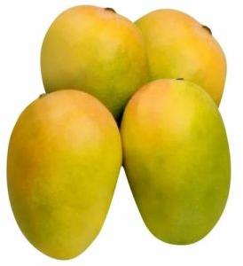 Fresh Kesar Mango