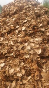 coconut shell