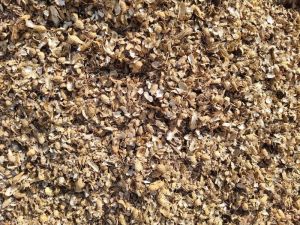 Groundnut Husk
