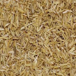 Paddy Husk