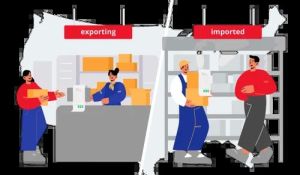DDP Shipping Service