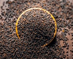 Black Mustard Seeds