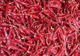 Teja Dried Red Chilli