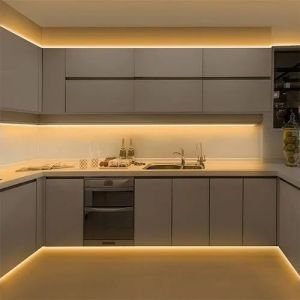 Modular Kitchen with Profile Light Designing Service