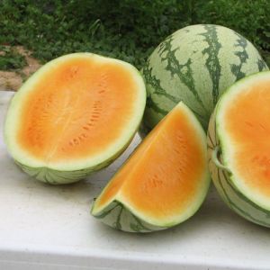 Orange Watermelon