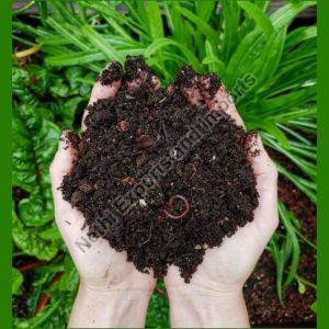 Vermicompost Fertilizer