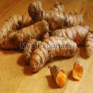 Raw Turmeric Finger