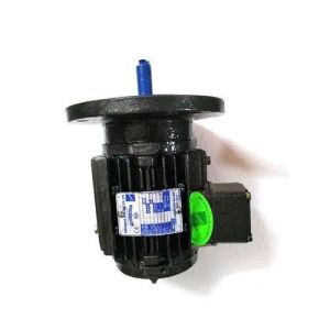 Motor Repairing Service