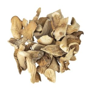 Dried Organic Oyster Mushroom