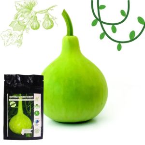 Organic Bottle Gourd Seeds