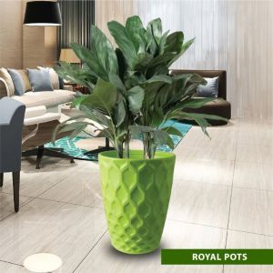 Royal Plastic Pot