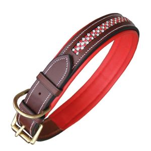 Fancy Leather Dog Collar
