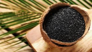 Coconut Shell Activated Carbon