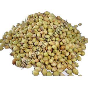 A Grade Coriander Seeds