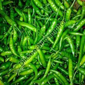 Fresh Green Chilli