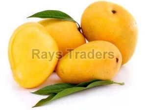 Yellow Mangoes